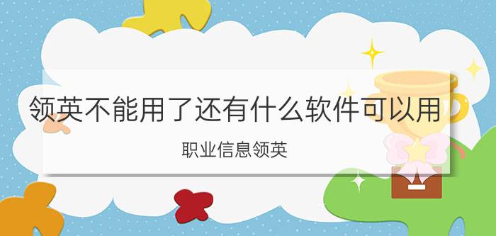 领英不能用了还有什么软件可以用 职业信息领英,钉钉是什么意思？